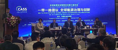 Professor Elsa Galarza was a speaker at the 7th Global Forum on Energy Security held in Beijing