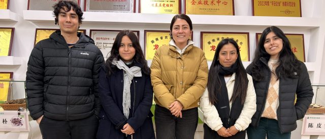 Experiencia de aprendizaje en China