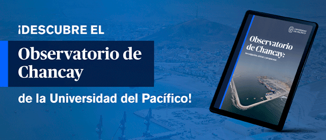 Chancay Observatory: An Initiative for Analysis and Debate on the Port Megaproject