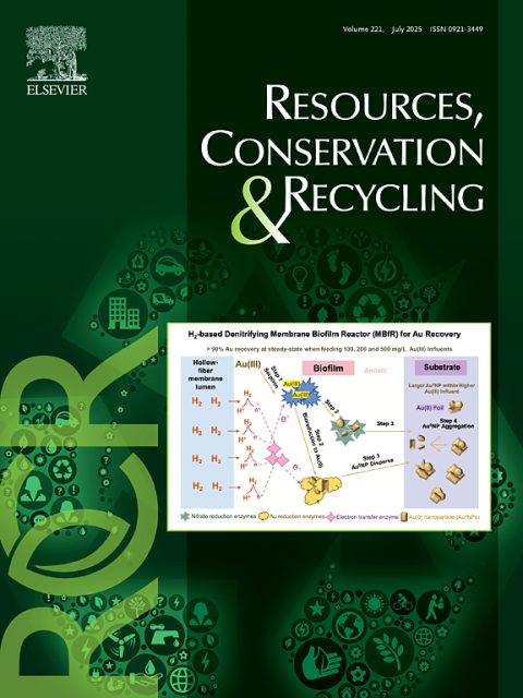 Development finance and critical minerals: opportunities for supporting sustainability and inclusion through patient capital