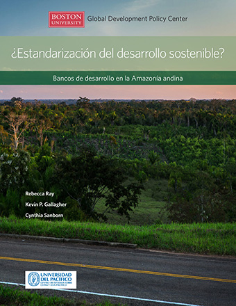 ¿Estandarización del desarrollo sostenible? Bancos de Desarrollo en la Amazonía Andina